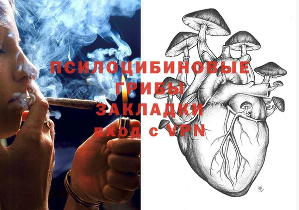 ГАЛЛЮЦИНОГЕННЫЕ ГРИБЫ Зерноград