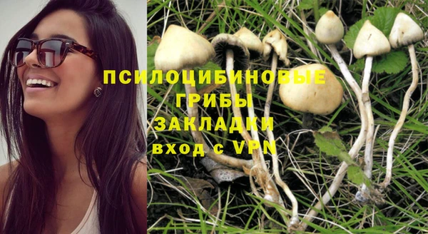ГАЛЛЮЦИНОГЕННЫЕ ГРИБЫ Зерноград
