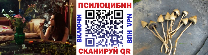 Купить закладки  Находка  Псилоцибиновые грибы MAGIC MUSHROOMS 